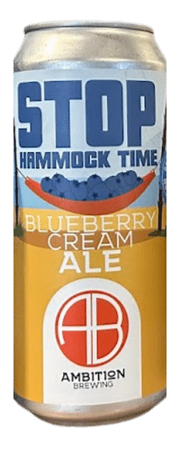 Stop Hammock Time Blueberry Cream Ale can